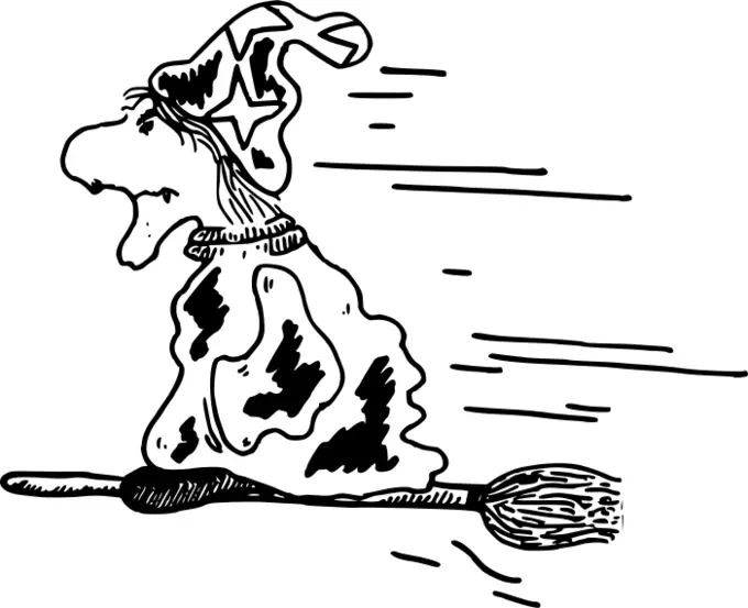 Old woman riding a broomstick