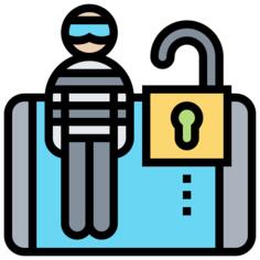 Cybercrime
