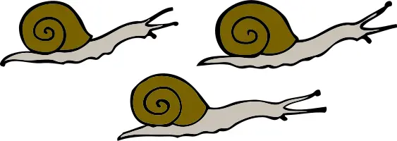 3 snails