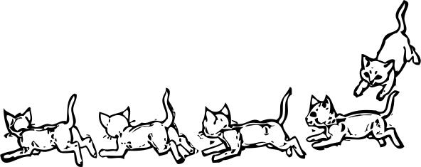 kitties playing