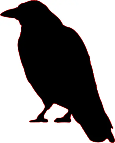 crow