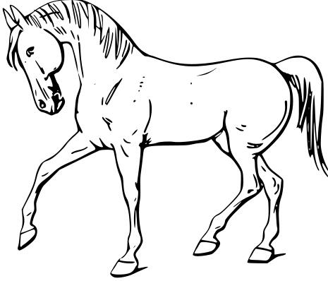 Walking horse outline