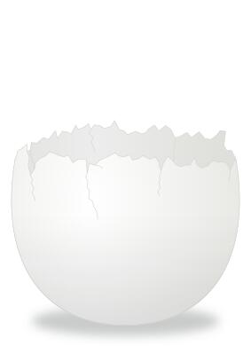 Cracked Egg