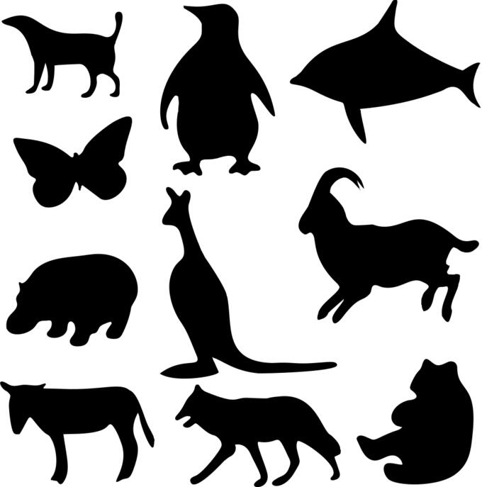 Animal Silhouettes 1 Optimized
