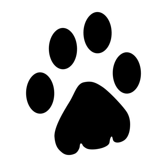Lynx