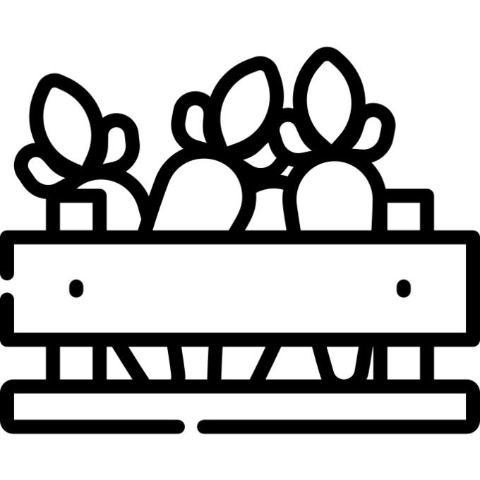 Vegetables