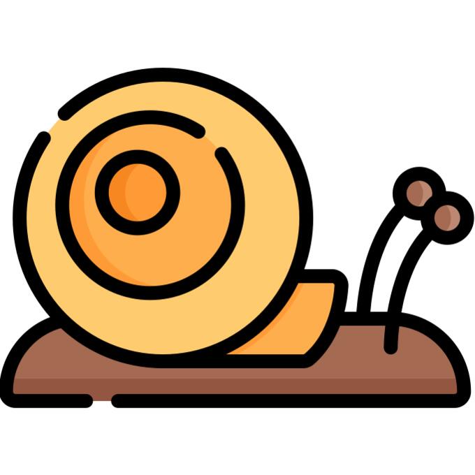 Snail