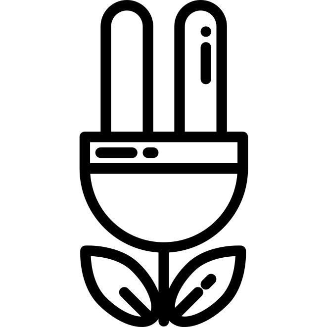 Bulb
