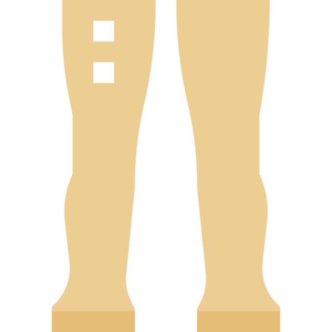 Leg