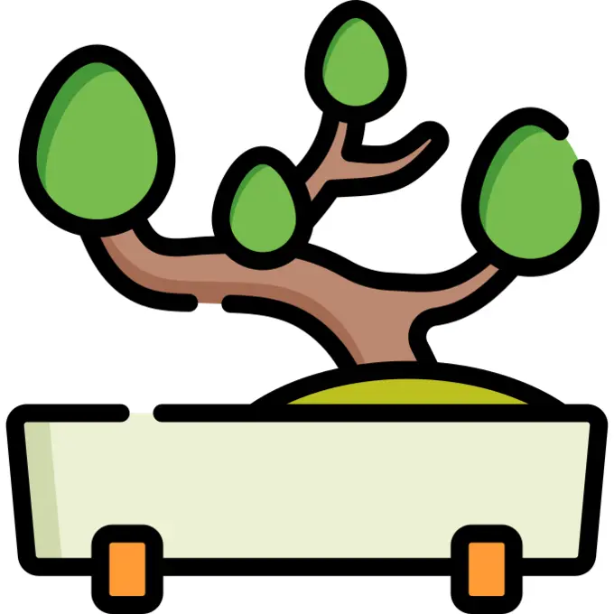 Bonsai