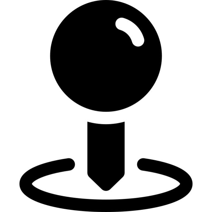 Pin