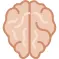 脑