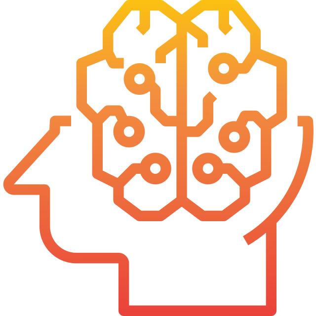 Brain