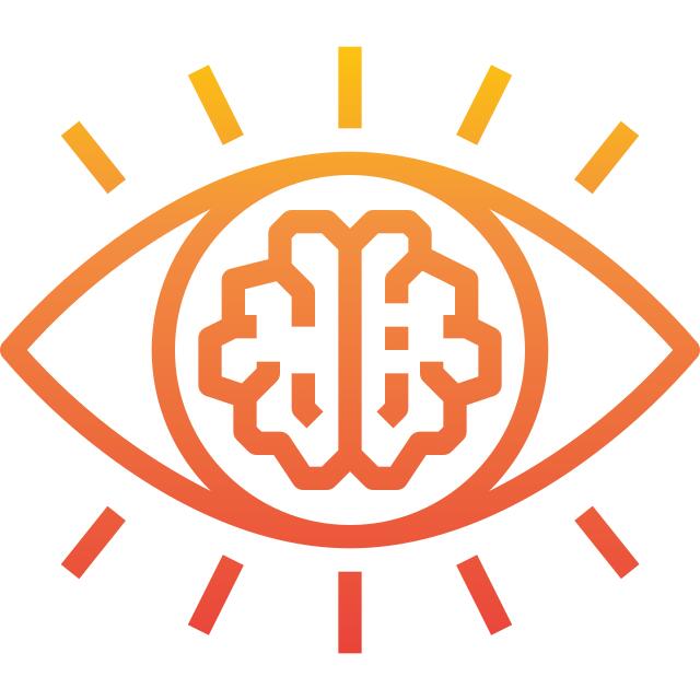 Vision