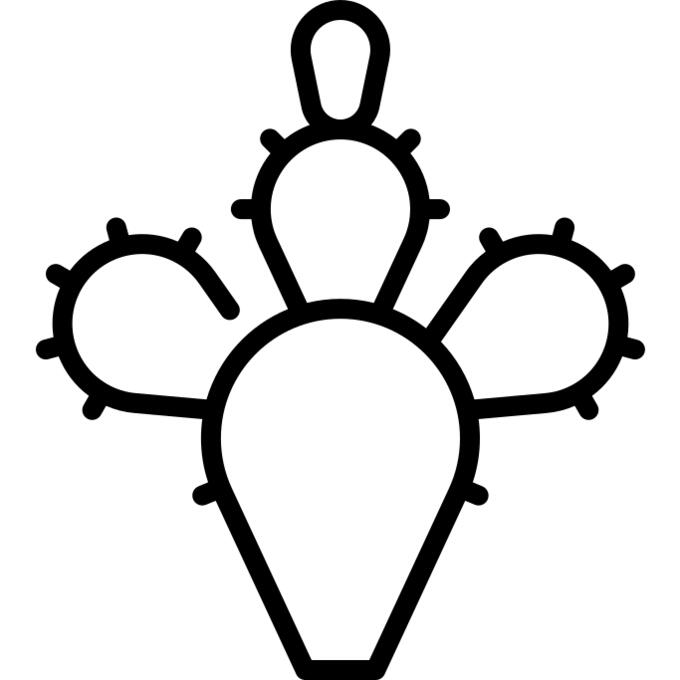 Prickly pear