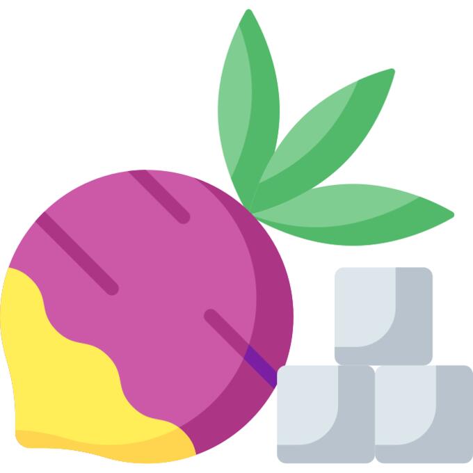 Radish