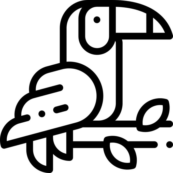 巨嘴鸟