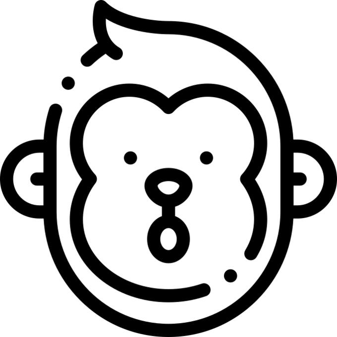 Monkey