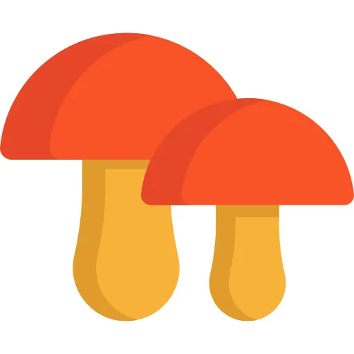Mushroom