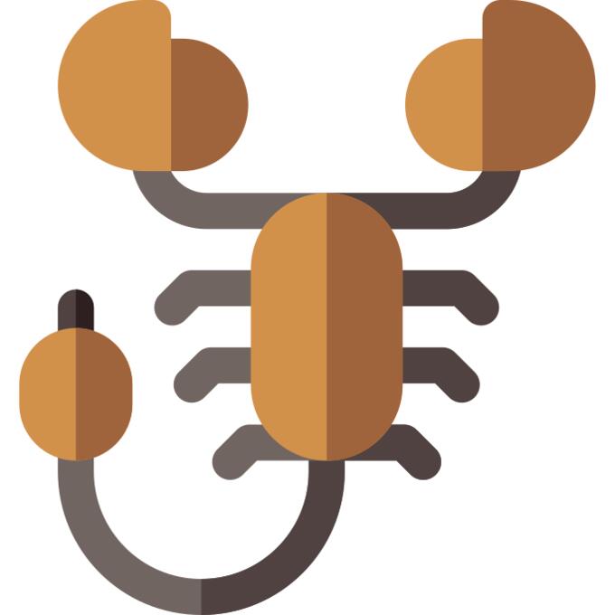 蝎