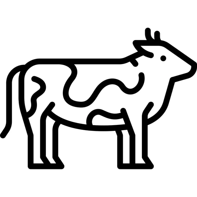 Cow
