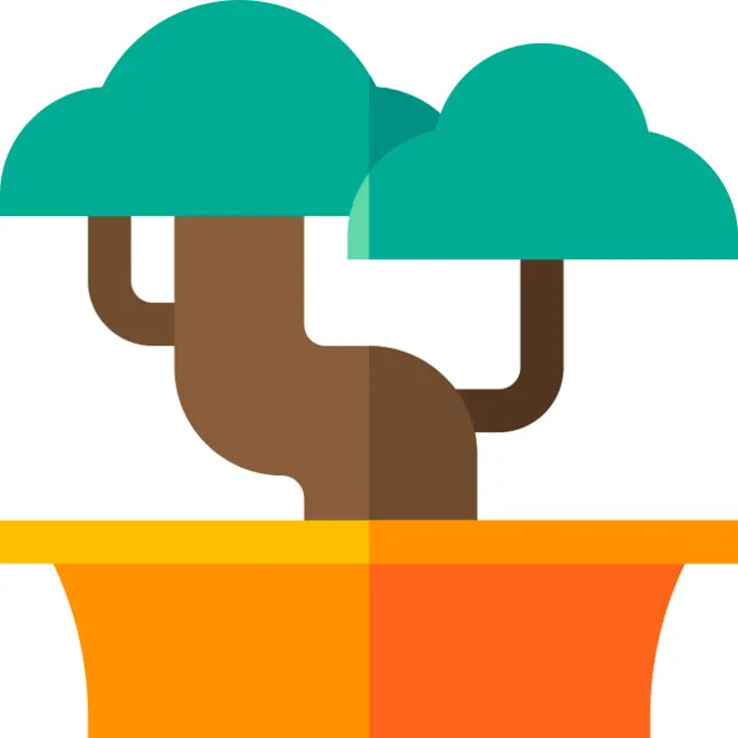 Bonsai