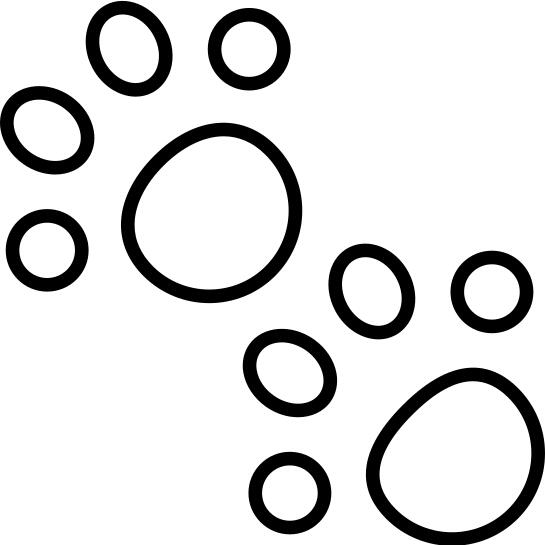 Pawprints