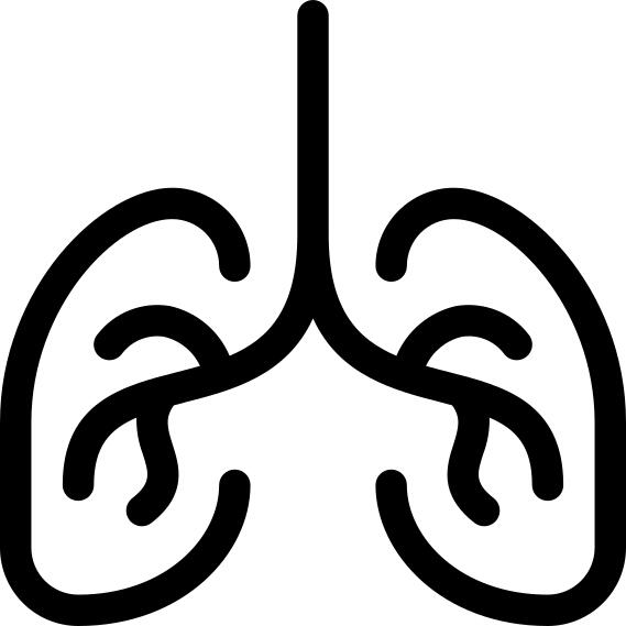 Lungs