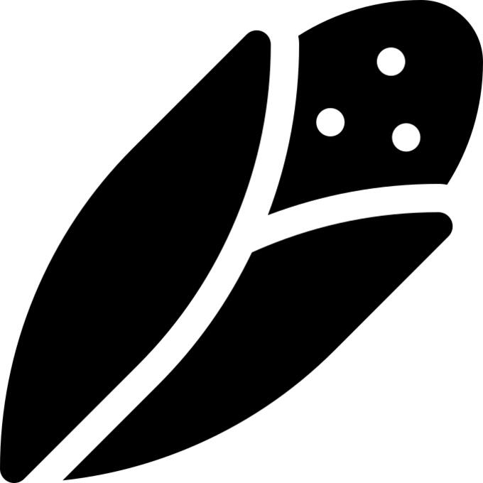 Corn