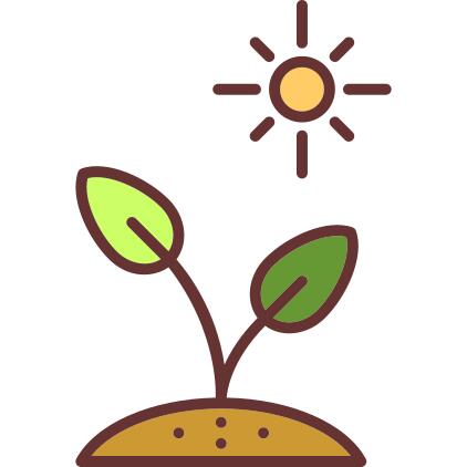 Sprout