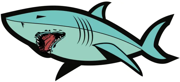 Scary teeth shark