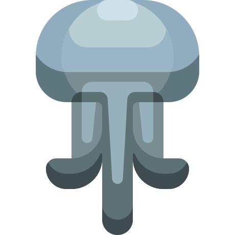 Jellyfish