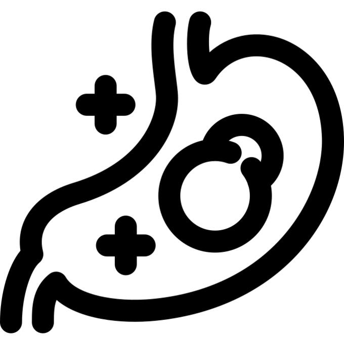 Stomach