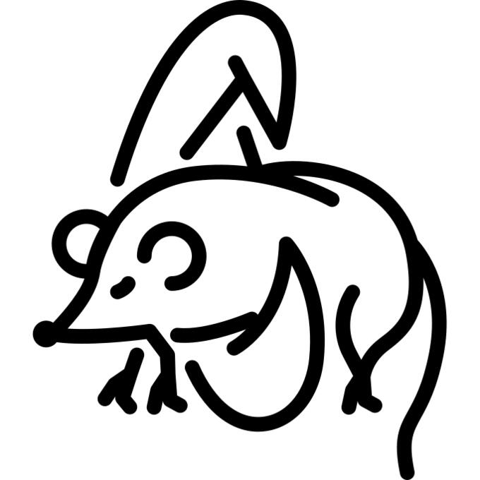 喙