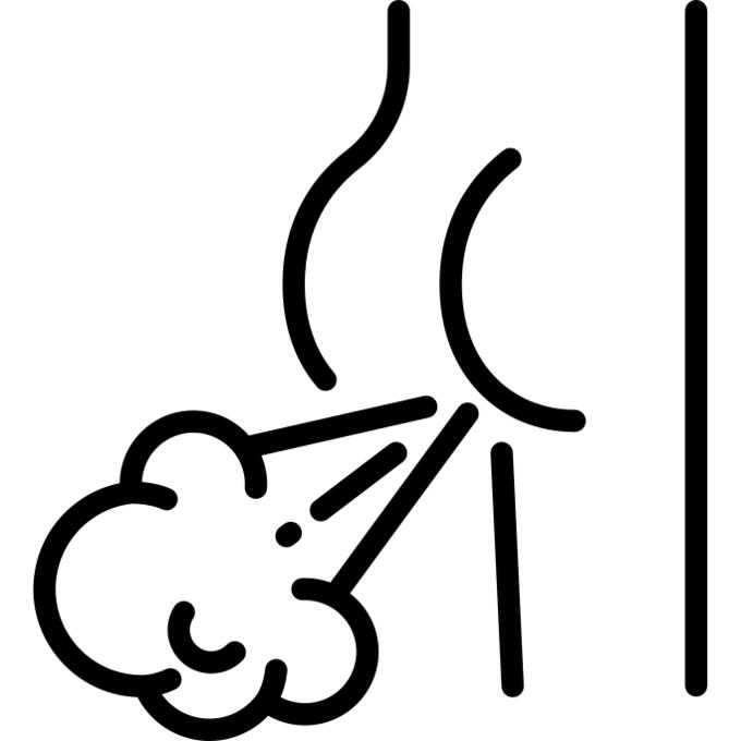Fart