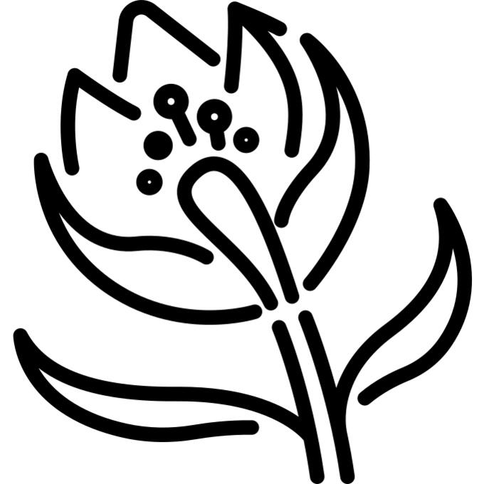 怒放