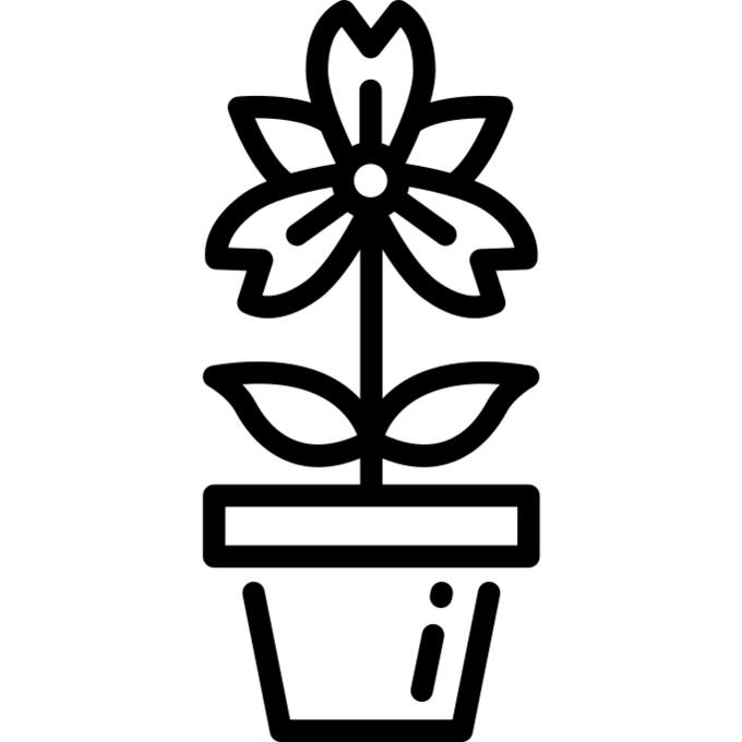 盆栽
