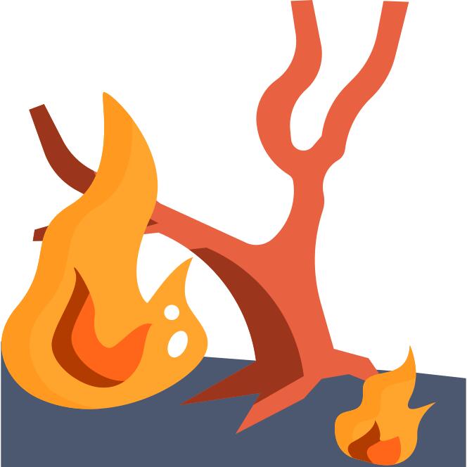 Burn