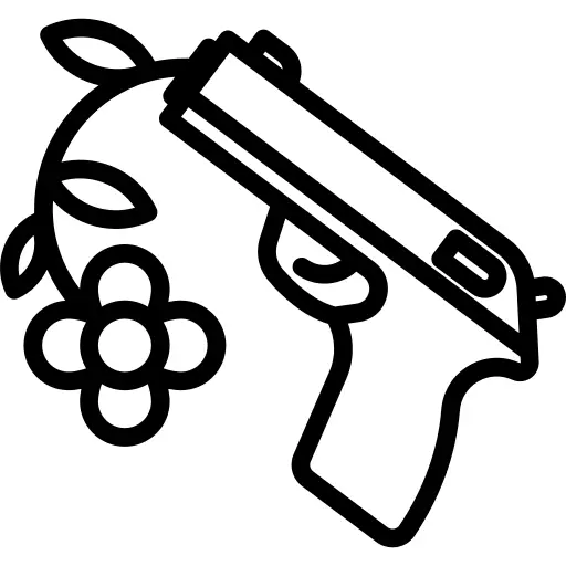 Gun
