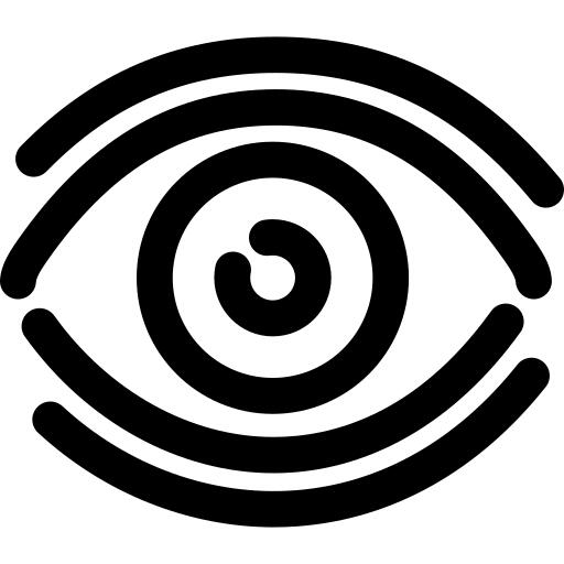 Vision