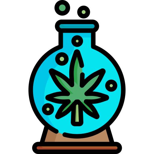 Cannabis