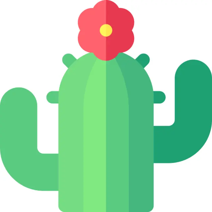 Cactus