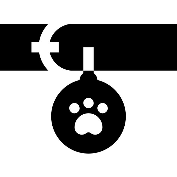 饰品