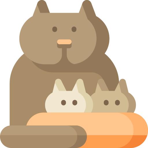 猫
