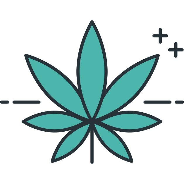 Cannabis
