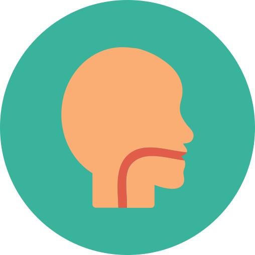 Mouth