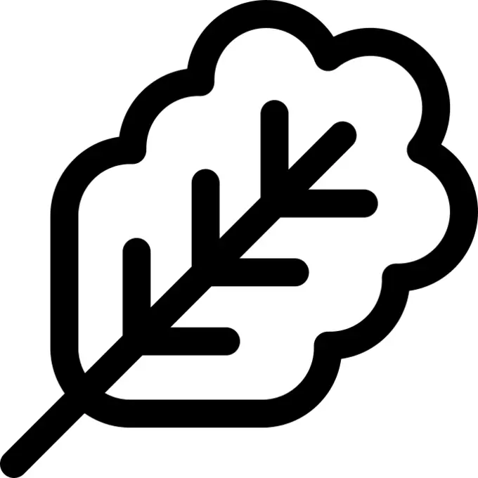 Leaf