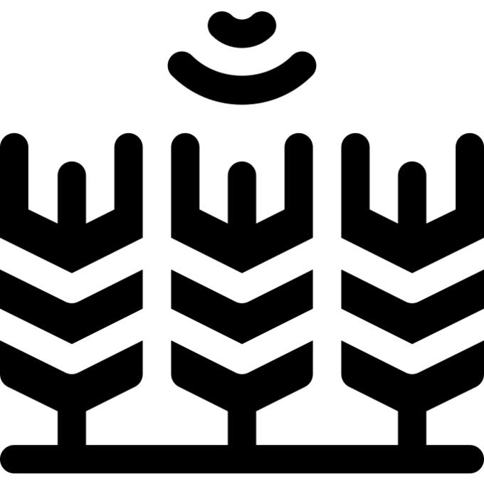 谷类