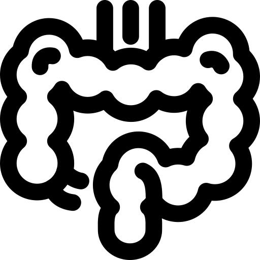 Intestine
