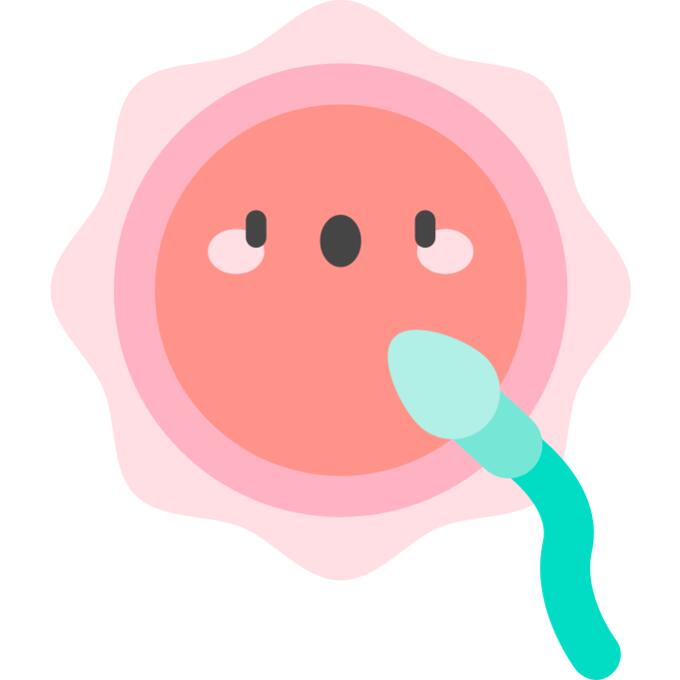 Fertilization